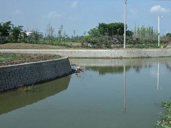 生态护坡-自嵌式挡土块